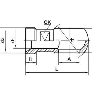 IF-H10B10