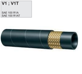 V1