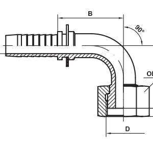 IF-C31 ORFS
