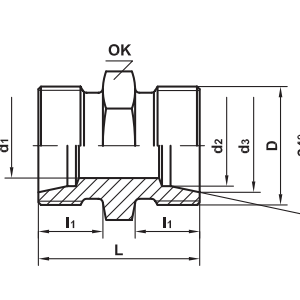 IF-J10J10_1
