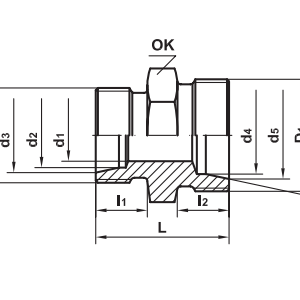 IF-J10J10_3