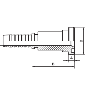 IF-P50