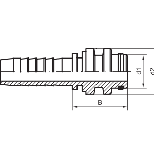 IF-R10